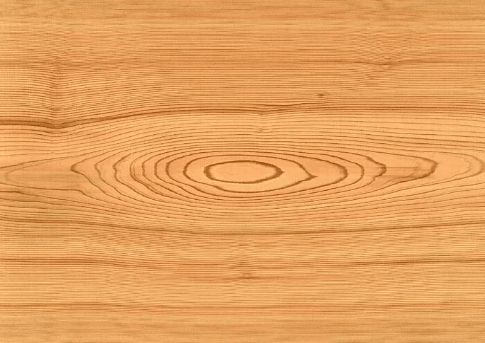 Текстура древесины сосны