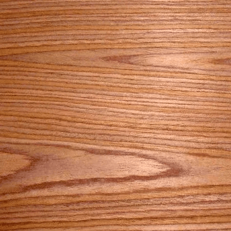 Текстура древесины бука